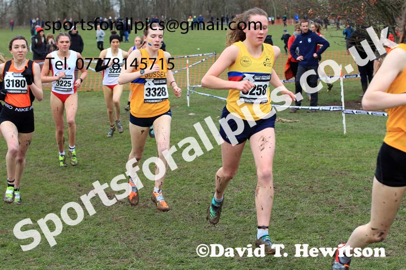 Womens Under-20s 2023 UK CAU Inter Counties Cross Country Champs, Prestwold Hall, Loughborough. Photo: David T. Hewitson/Sports for All Pics